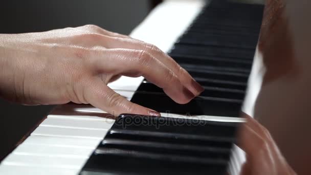 Las manos femeninas tocan teclas de piano. El trabajo del músico. Disparos a corta distancia . — Vídeo de stock