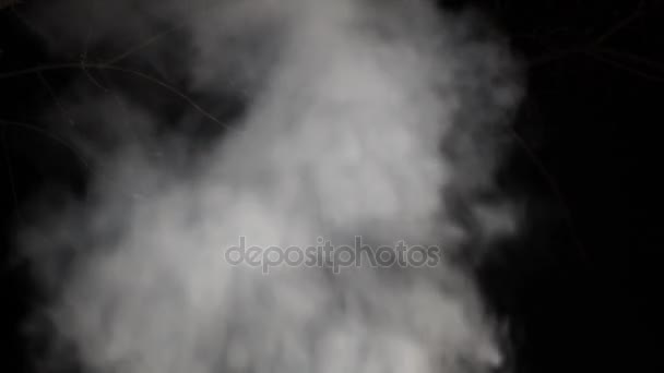 Humo blanco se levanta en la noche sobre un fondo negro — Vídeos de Stock