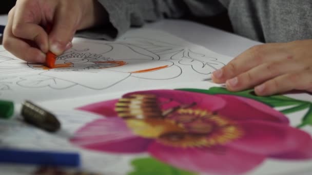 Kind verven kleurplaten met kleurpotloden — Stockvideo