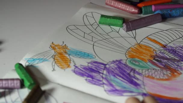 Child paints coloring with crayons — Stock Video