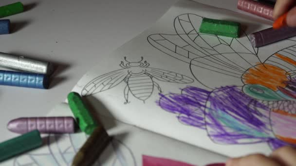 Kind verven kleurplaten met kleurpotloden — Stockvideo