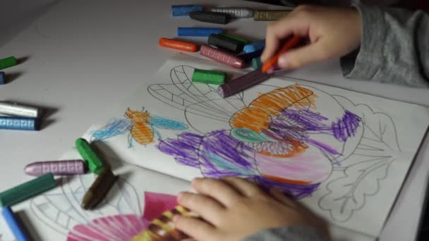 Kind malt Färbung mit Buntstiften — Stockvideo