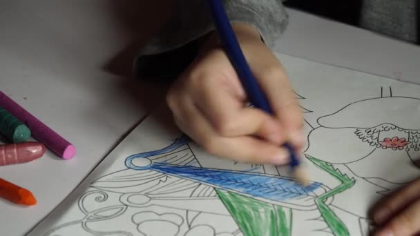 Pinturas infantiles para colorear con lápices de colores — Vídeo de stock