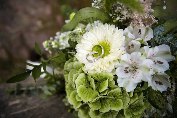 Feestelijke bruiloft boeket van gerber voor bruid en gouden ringen — Stockfoto