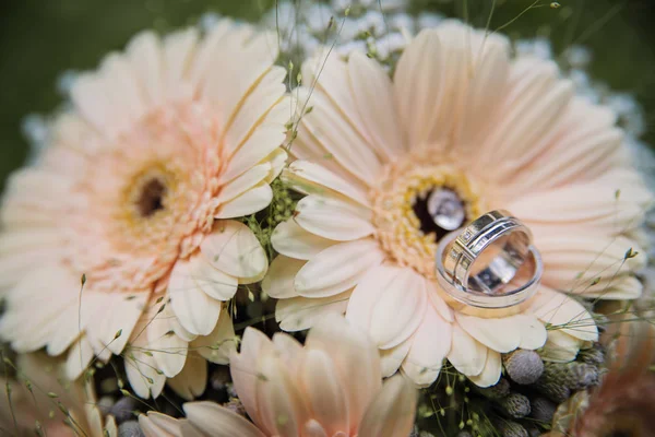 Εορταστική γαμήλια ανθοδέσμη από gerber για τη νύφη και χρυσά δαχτυλίδια — Φωτογραφία Αρχείου