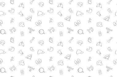 Vektör anatomi desen. Anatomi sorunsuz arka plan