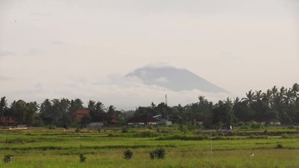 Vista Del Volcán Batur Desde Campo Arroz Isla Bali — Vídeos de Stock