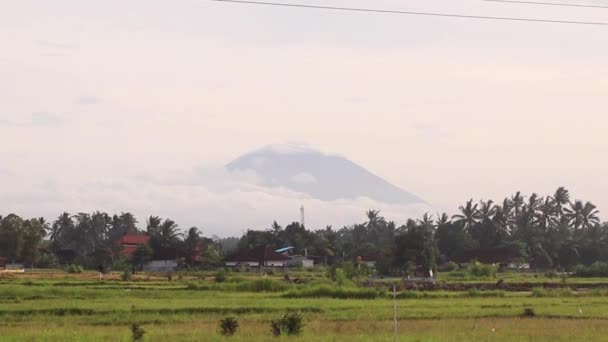 Batur Vulkaan Uitzicht Vanaf Rijstveld Bali Eiland — Stockvideo