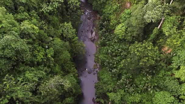 Utsikt Över Floden Från Bron Bali — Stockvideo