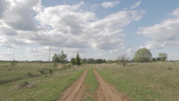 Summer Rural Road Fields Middle Russia — Stock Video