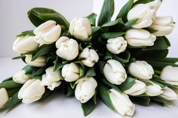 Аромат Белых Тюльпанов Изолированном Фоне — стоковое фото
