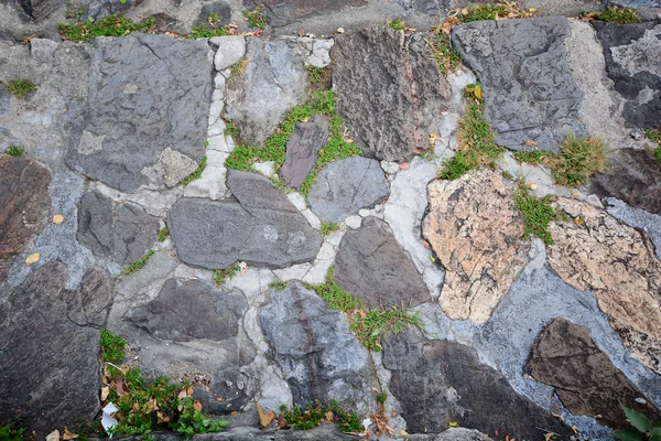 Le chemin de promenade bloc de pierre dans le parc, fond de texture — Photo