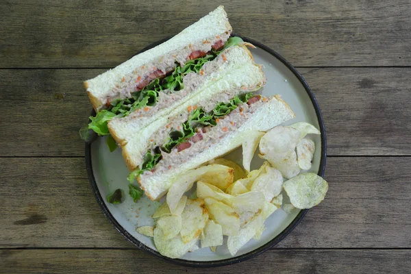 건강 한 참치 샌드위치와 칩의 측면 스톡 이미지