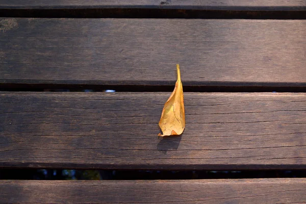 Foglie d'autunno su sfondo di legno — Foto Stock