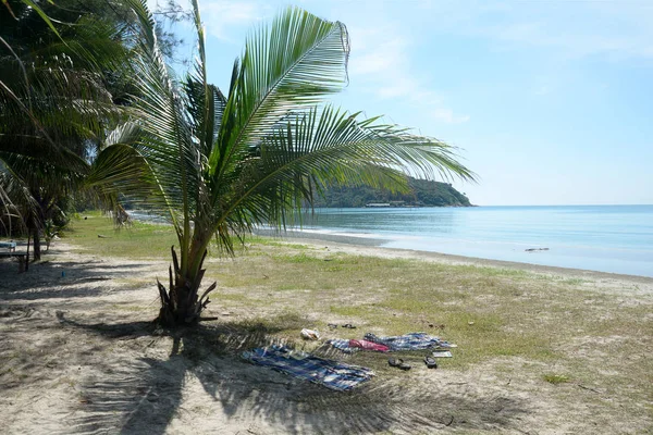 Kokospalmer på vit sandstrand — Stockfoto