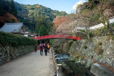 Osaka, Japonya: 1 Aralık 2016 Minoo Park sonbahar sezonunda