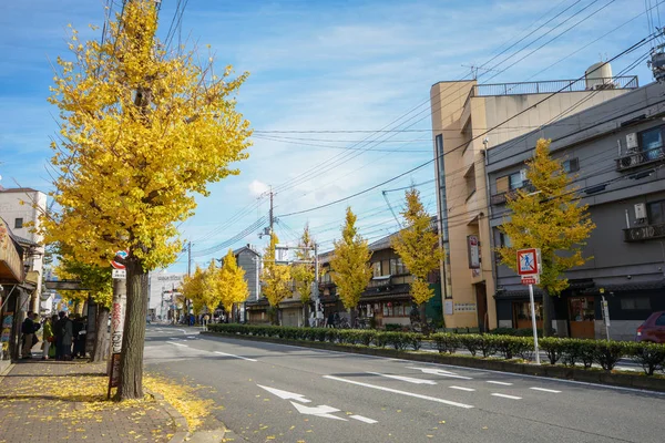 五颜六色的黄色银杏叶树枝树在路上 — 图库照片
