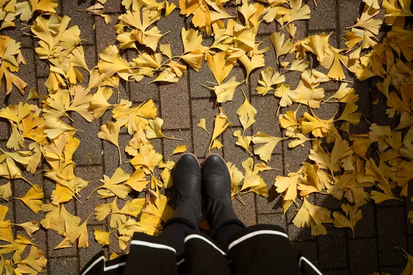 Frauenbeine in Stiefeln auf den Herbstblättern. — Stockfoto