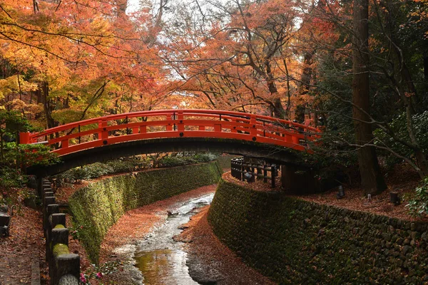 Rode brug in een Japanse tuin met rode maples — Stockfoto