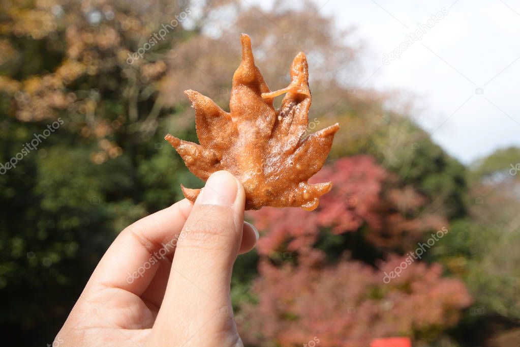 Fried Maple Leaves in Japan with autumn background