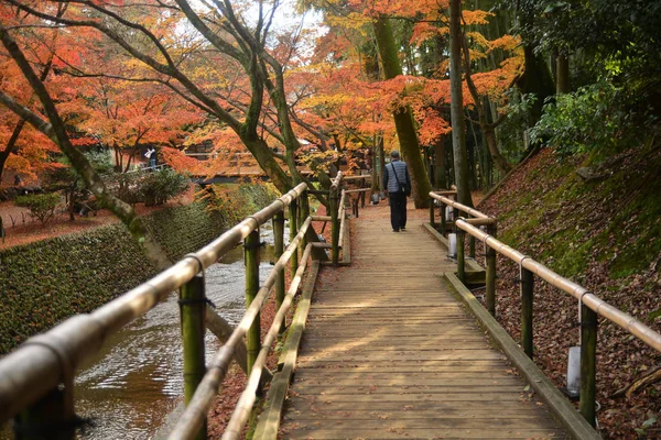 Houten brug in een Japanse tuin met rode maples — Stockfoto