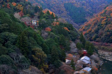 bakış nehir ve orman arashiyama, Sonbahar sezonu