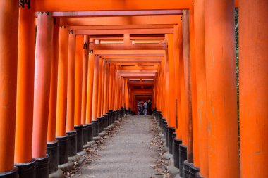 Kırmızı Tori kapıda Fushimi Inari Taisha tapınak Kyoto, Japonya