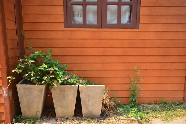 Kolorowy drewniany dom w ogrodzie — Zdjęcie stockowe