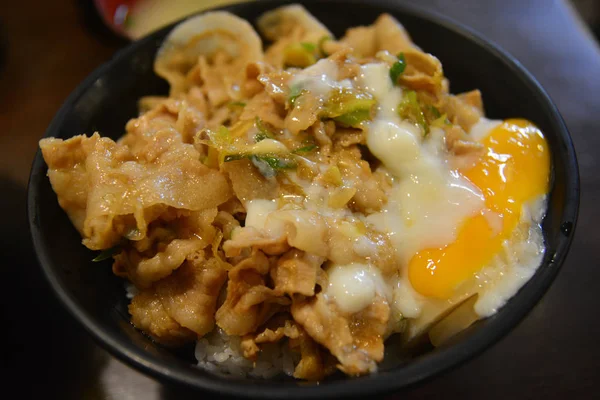 Vepřové teriyaki s vejcem, japonská kuchyně — Stock fotografie