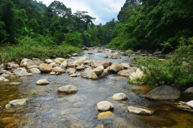 şelale Tay Milli Parkı içinde. Ormanda Dağı'nda.
