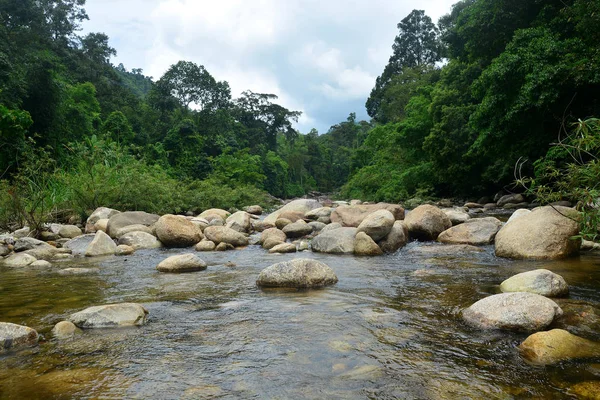 Waterfall in thai national park. In the forest on mountain. — Stock Photo, Image