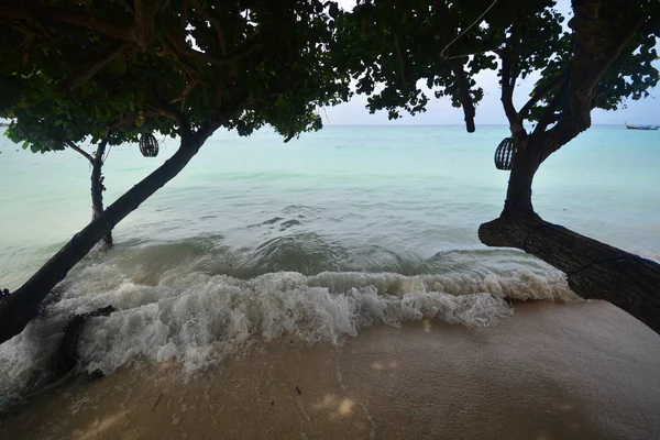 Stor gren med vackra vågor i havet. — Stockfoto