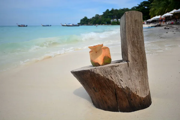 Bella spiaggia con legname e noce di cocco in estate, spiaggia tropicale — Foto Stock