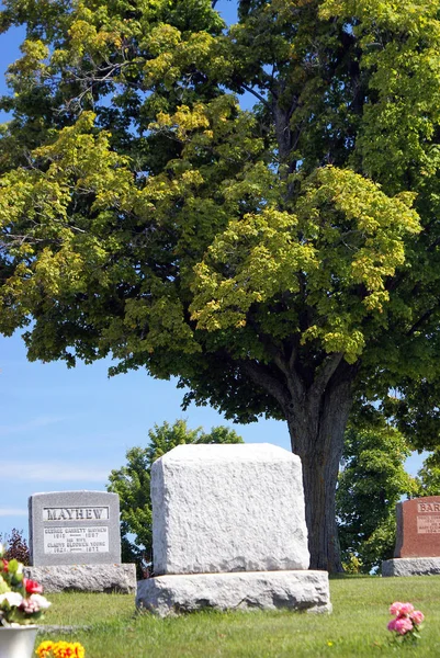 Cimetière En été — Photo