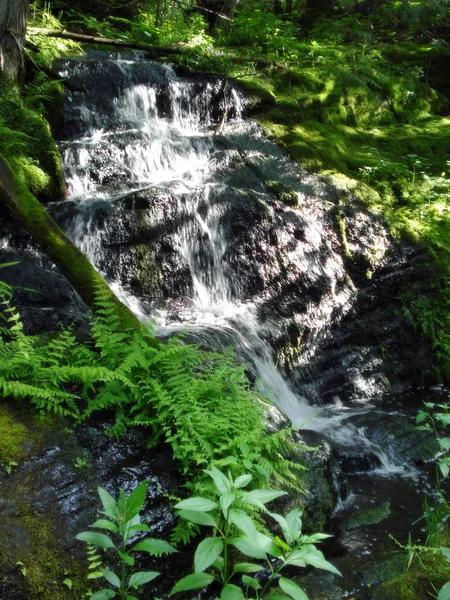 Frisches Bachwasser — Stockfoto