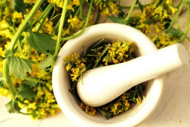Sarı Rocketcress otlar