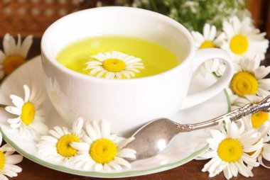 Papatya çayı portre