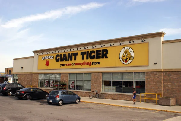 Tigre gigante escaparate de venta editorial — Foto de Stock