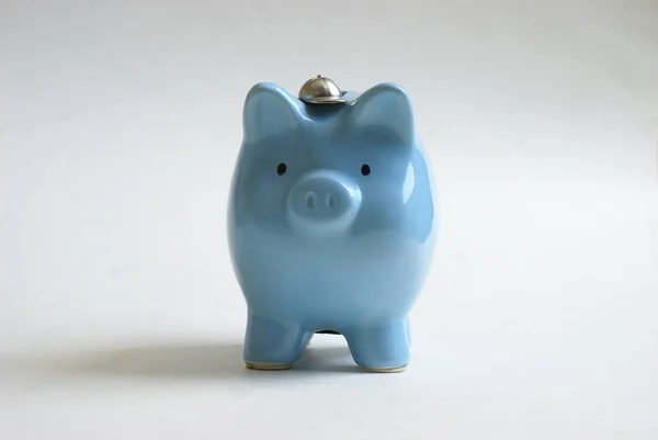 Baby Blue Pig Bank — Stockfoto