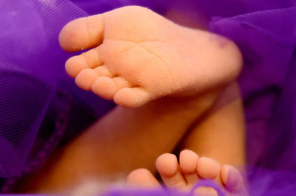 New Born Girls Feet — Stock fotografie