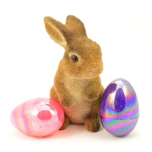 Isolated Easter Bunny Couple Eggs White Background — Stock Photo, Image