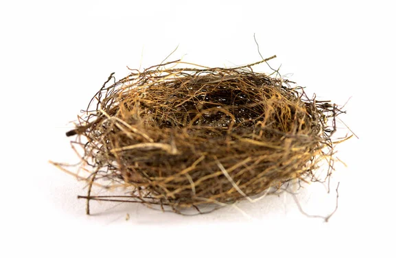 Isolated White Image Empty Birds Nest — Stock Photo, Image