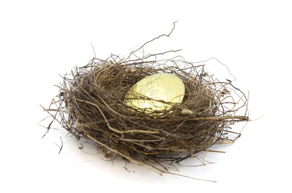 Koncepce Založená Dlouhodobých Investicích Kryptoměny Bitpeníz Použitím Ptačí Hnízda Zlaté — Stock fotografie