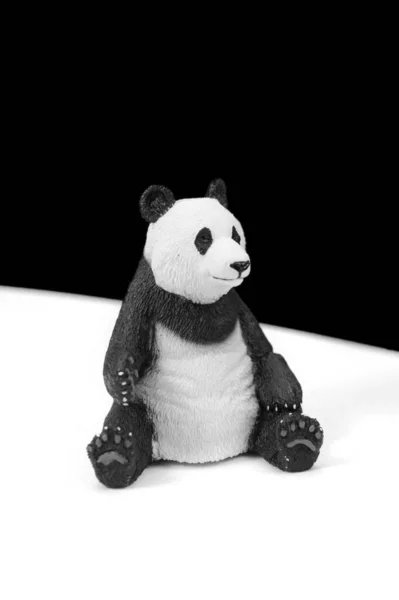 Una Imagen Blanco Negro Lindo Oso Panda — Foto de Stock