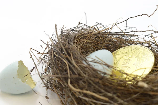 Concept Based Longterm Investments Cryptocurrency Bitcoin Utilizing Birds Nest Golden — Stock Photo, Image