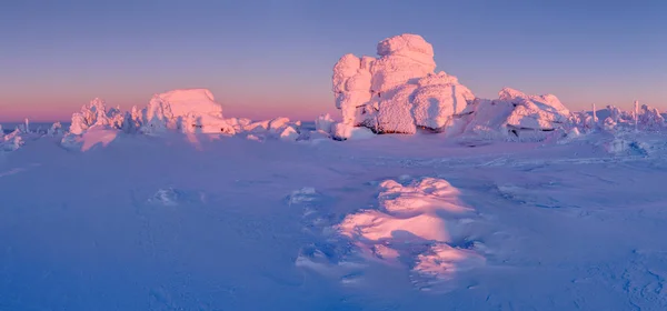 겨울 원더랜드 — 스톡 사진