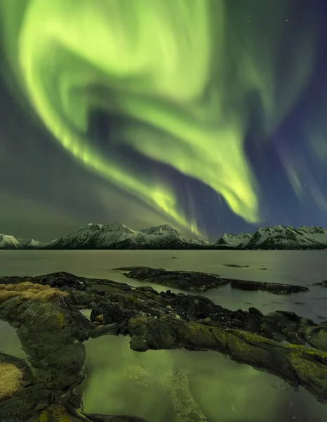 Dikey fotoğraf Aurora Borealis, Lofoten, Norveç. — Stok fotoğraf