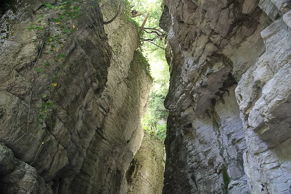 Gola Rocciosa Bianca Nascosta Nella Vista Sulla Valle Dal Basso — Foto Stock