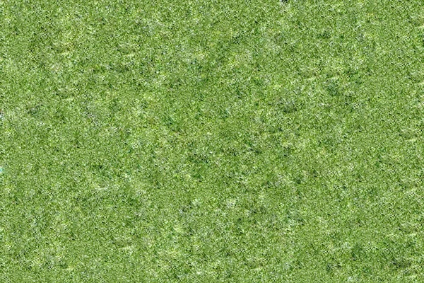 Текстура Візерунка Нарізаного Зеленого Свіжого Огірка — стокове фото