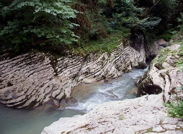 Aangename Wandeling Langs Rivier Berg Schoon Het Bos — Stockfoto